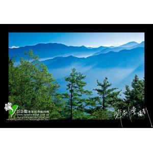 阿里山