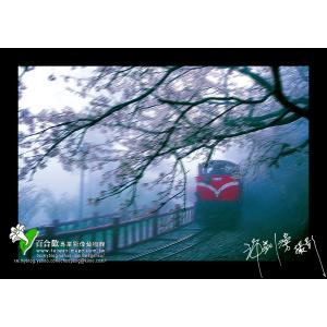 阿里山櫻花火車
