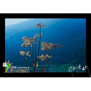 中橫宜蘭支線