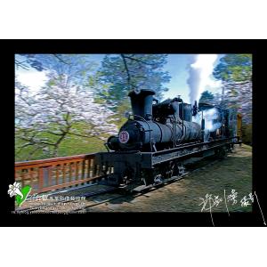 阿里山火車
