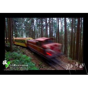 阿里山森林火車