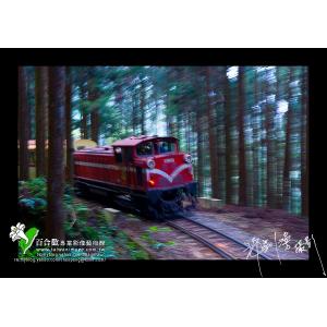 阿里山森林火車