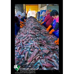 虱目魚加工產業