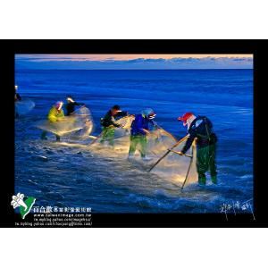 南迴金崙海岸撈魚苗