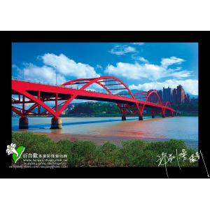 關渡大橋
