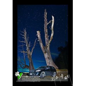 夫妻樹星光