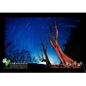 夫妻樹星跡
