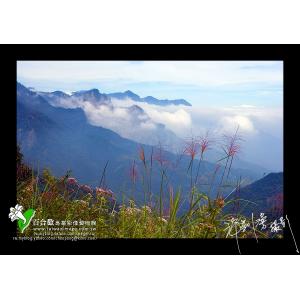 新中橫景色