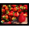 水果（草莓）