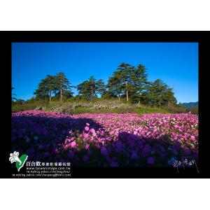 福壽山