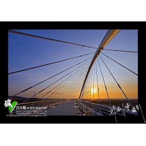 西濱香山豎琴橋