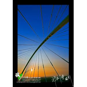 西濱香山豎琴橋