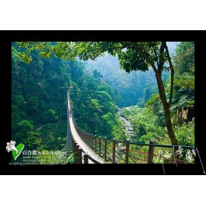 南投竹山天梯吊橋