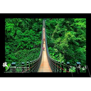 南投竹山天梯吊橋