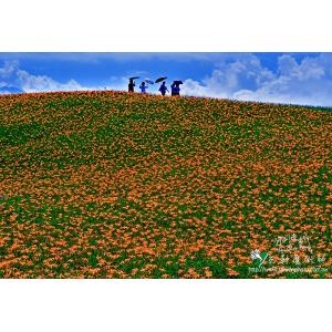 花蓮赤柯山(金針山)
