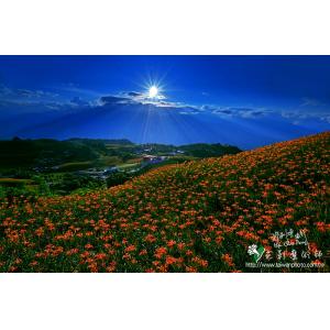 六十石山(金針山)