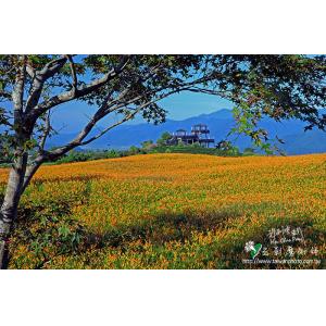 六十石山(金針山)