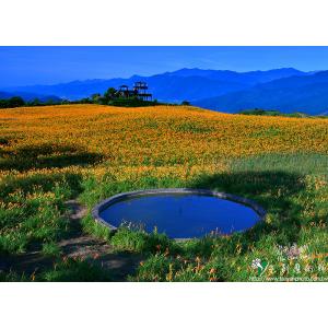六十石山(金針山)