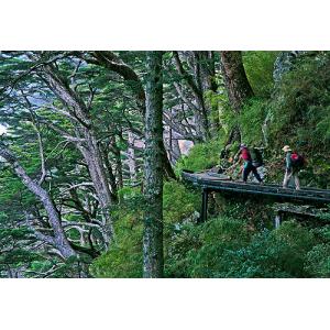 玉山