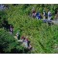 玉山登山客