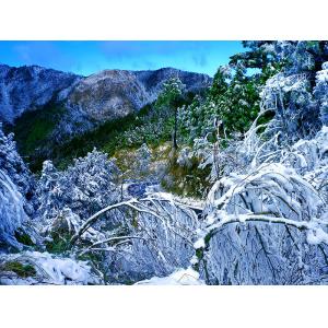 合歡山