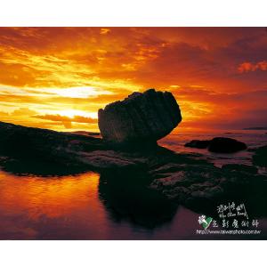 萬里拳海岸頭石