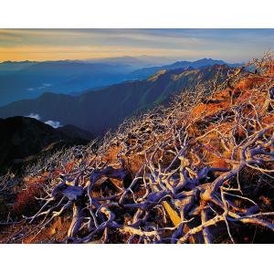 雪山主峰