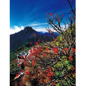 玉山主峰秋色