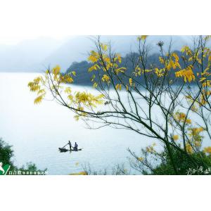 湖光秋色