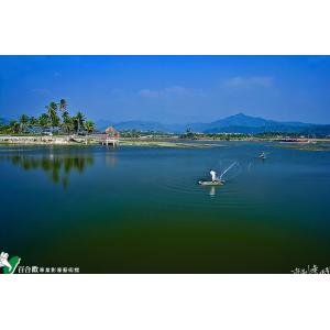 高雄美濃中正湖