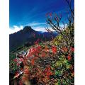 玉山主峰秋色