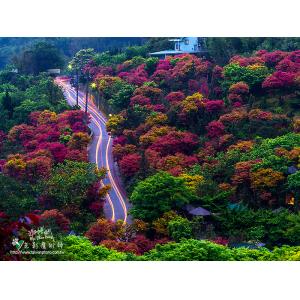 台北奧萬大