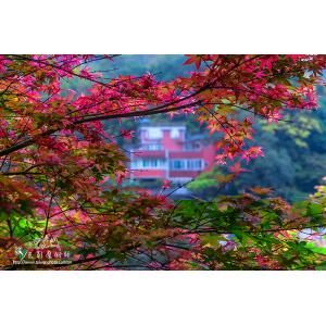 台北奧萬大
