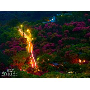 台北奧萬大