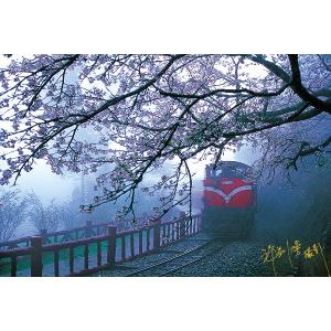 阿里山櫻花火車