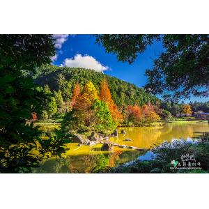 明池國家森林
