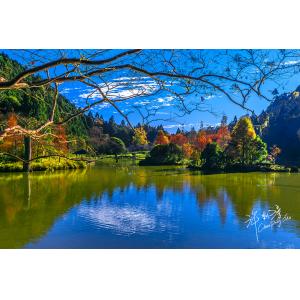 明池國家森林