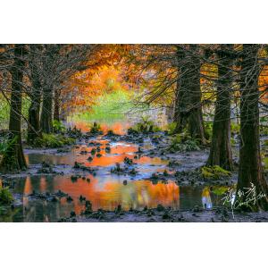 雲山水
