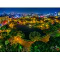 台中公園夜景