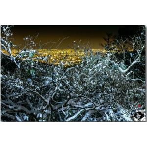 北橫雪景