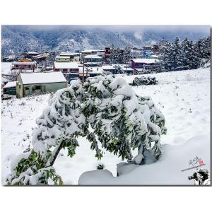 南山村雪景