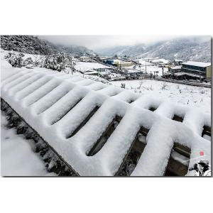 南山村雪鄉