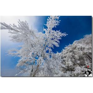 思源啞口雪景