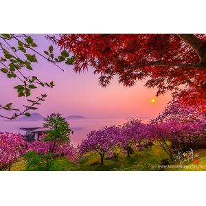 北海道