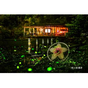 螢火蟲
