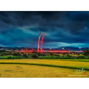 中正橋