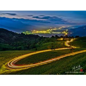 金針山夜色