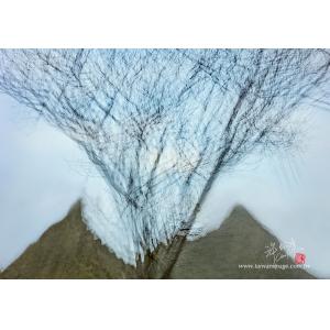 大峽谷月世界