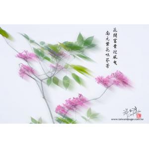 花卉