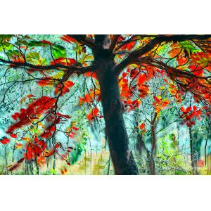 屏東內埔綠色隧道